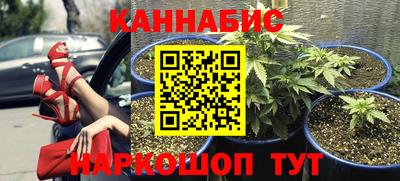 прущие грибы Комсомольск-на-Амуре