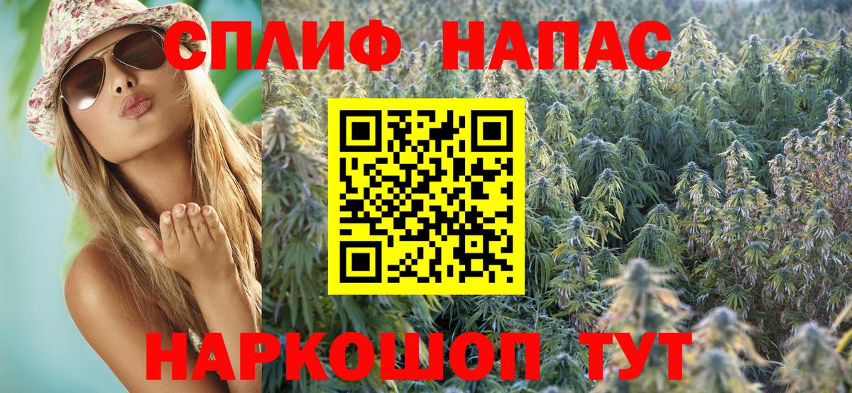 Канабис планчик Кимры